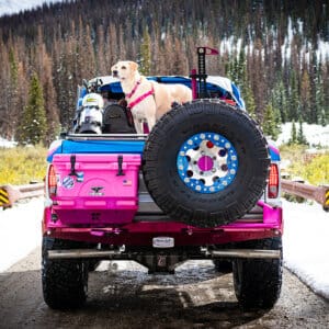Rito'S Rack - The Tailgater Early Bronco Cooler Rack